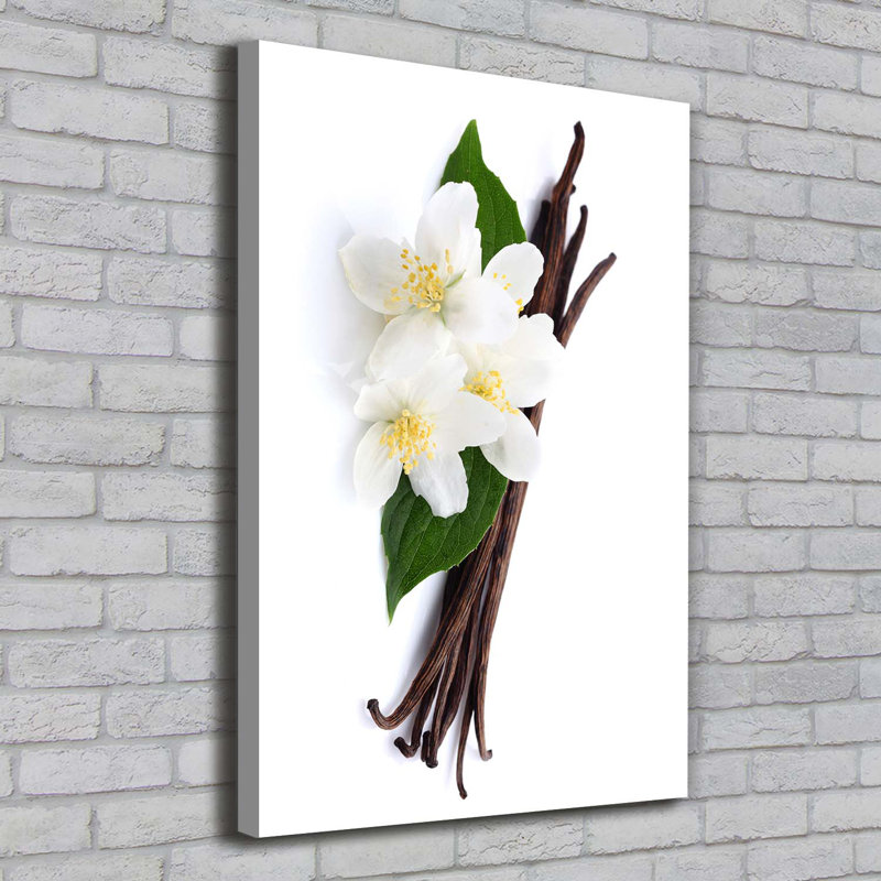 Jasmine And Vanilla - Wrapped Canvas Print
