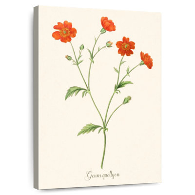 Geum Quellyon