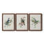 «Spring Song Blue Bird», ensemble de 3 impressions sur toile encadrées-777363411-777363414