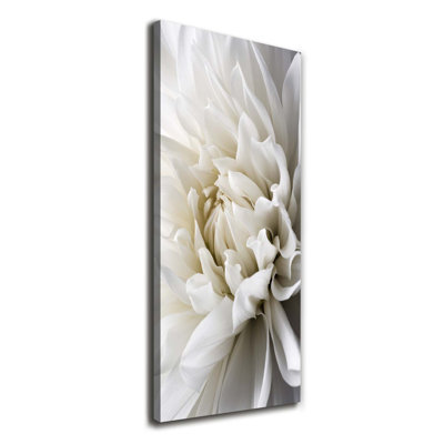 White Dahlia - Wrapped Canvas Print