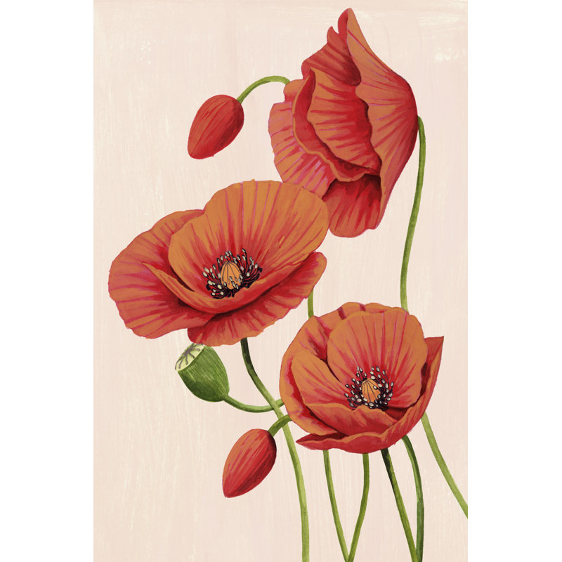 «Soft Coral Poppies II» par Grace Popp - peinture sur toile tendue, H 48 po x l 32 po x P 1,25 po