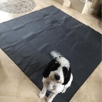 AMOFY Pet Mats, 43X26, Exceptionally Hygienic, Non-Slip, Water Resistant,  Comfortable and Portable, Machine Washable, Fit Indoor Outdoor Use for