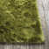 Mercury Textured Contemporary Green Area Rug