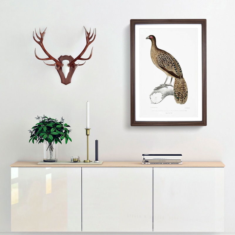 Lineated Peacock Pheasant Illustration by John Edward Gray - Picture Frame Painting Print, 65cm H x 48cm W x 2cm D
