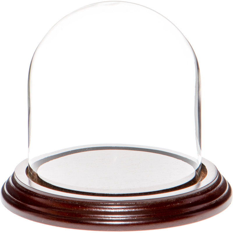 Cloche en verre Vucciria, 4" H × 4" W × 4" D, Base en placage d'acajou foncé