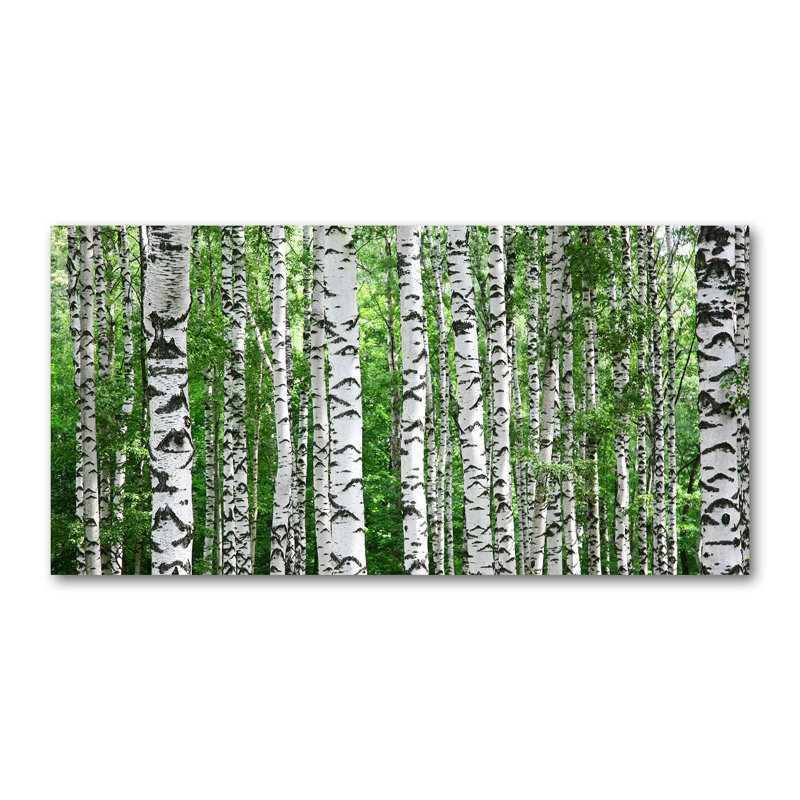 Birches - No Frame Print on Canvas