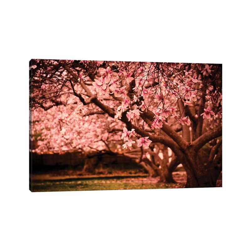 Printemps 1 Piece Wrapped Canvas Wall Art, 66.04 cm H x 45.72 cm W x 3.175 cm D