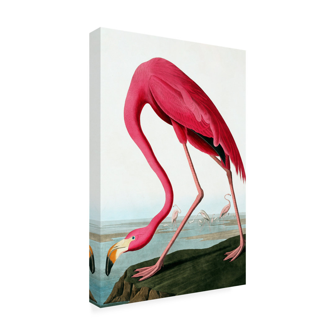 Contemporary Bay Isle Home™ 