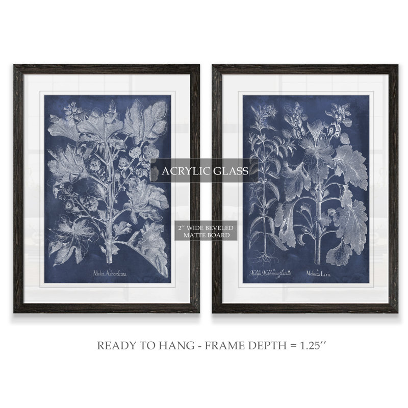 Ensemble de 2 reproductions d’art encadrées dans un cadre Indigo I, Blanc, H 24 po x l 18 po x P 1,25 po, Cadre ébène