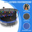 Trampoline de loisir pour enfants 12 pi avec filet de sécurité et échelle-121260507