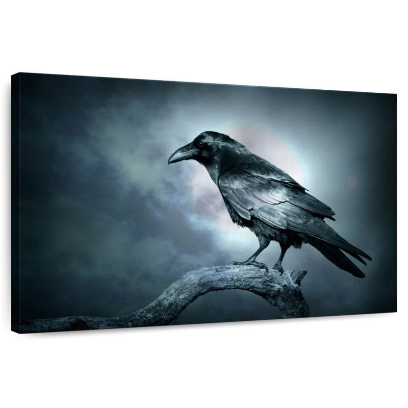 Soulless Raven