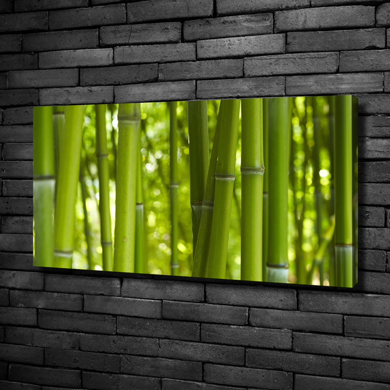 Bamboo - No Frame Print on Canvas