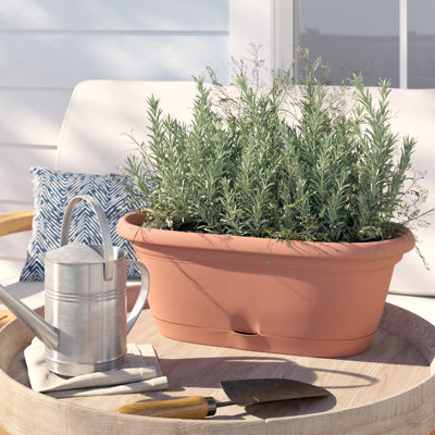 Lucca Self-Watering Plastic Indoor/Outdoor Oval Window Box Planter with Watering Basin