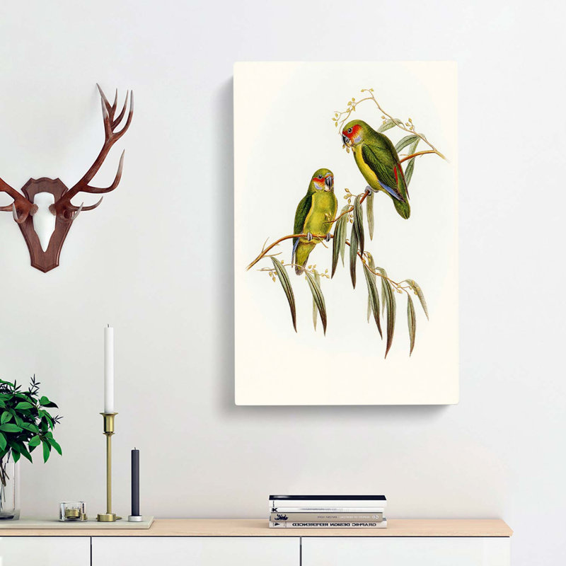 Coxen's Parakeets by Elizabeth Gould - Wrapped Canvas Painting, 50cm H x 35cm W x 3cm D