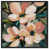 Structure noire
