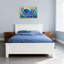 Imprimé animal, pieuvre, vagues de poisson, corail-648779375-648779346-648779347