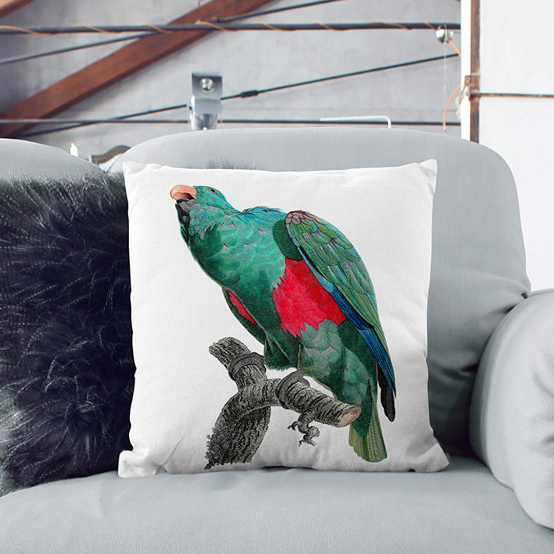 Eclectus Parrot by F. Levaillant Cushion with Filling