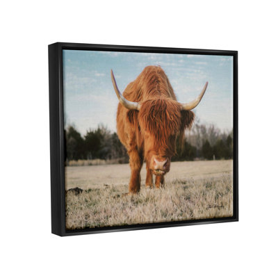 " Farmhouse Highland Cattle Ranch " by Dakota Diener
