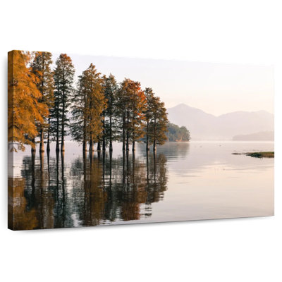 Harnek Metasequoia Lake Reflection