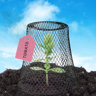 Support à plante Paciano