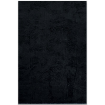 Rapture Abstract Flatweave Black Area Rug