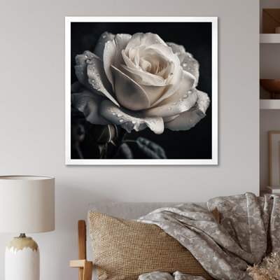 " Exquisite White Rose Droplets Of Morning Dew "