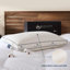 Coussins en plumes et duvet d'oie Pacific Coast, housse 100% coton biologique (taille standard, paquet de 2)-126090167-126090168