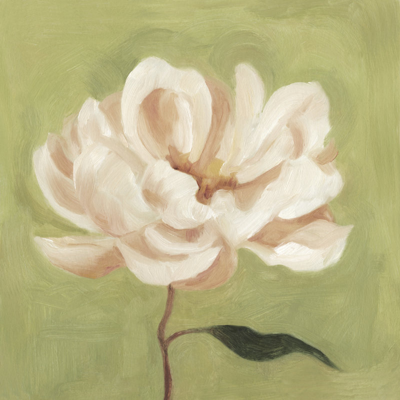 Peony On Olive II by Emma Scarvey - Wrapped Canvas Painting, 51cm H x 51cm W 