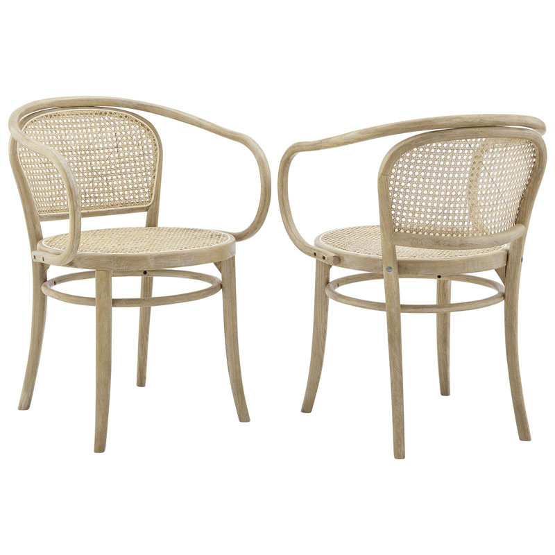 Gray Elm Wood and Cane Arm Chair, 22" x 31.5"
