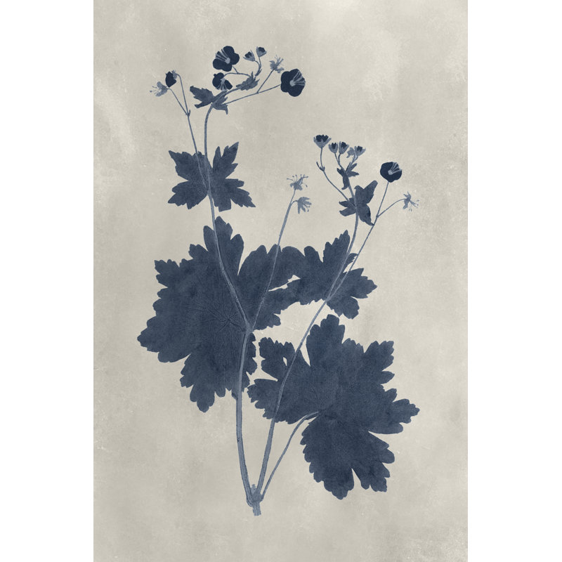 Navy Pressed Flowers VIII by Vision Studio - No Frame Print on Canvas, 122cm H x 81cm W x 3.8cm D