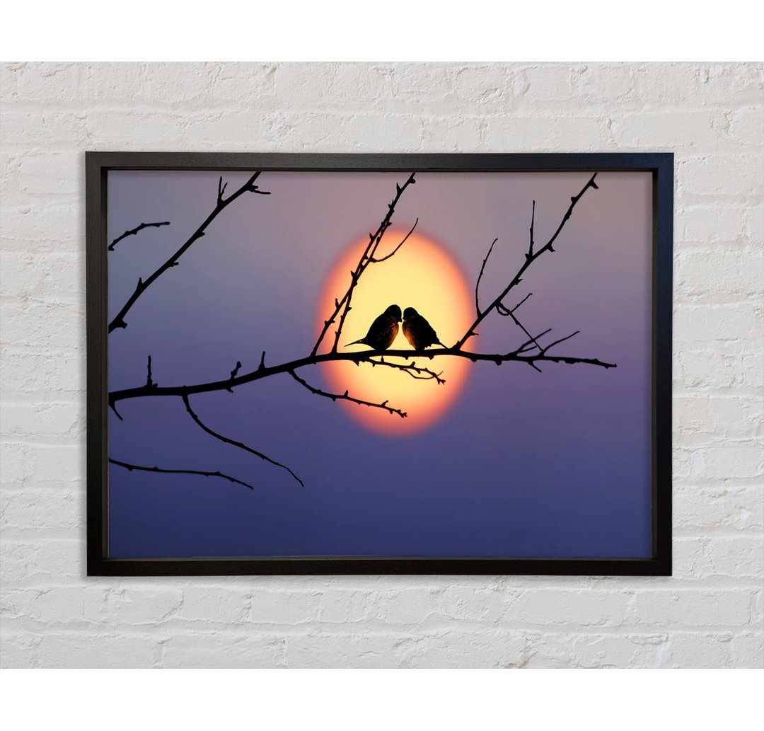 Love Bird Sunset - Einzelner Bilderrahmen Kunstdrucke auf Leinwand