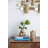 Pincushion Arrangement-19018087