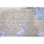 Oriental Area Rug in Beige-72343688