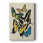 Collage de papillons II - galerie Cavas sur mesure-370569911