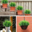 Paquet de 10 herbes artificielles artificielles artificielles