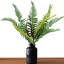 19,7 plante