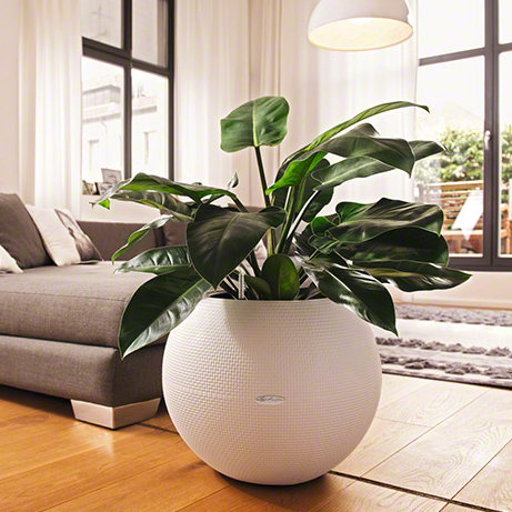 Pot Planter, 50.5 cm H x 50 cm W x 50 cm D, Slate