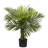 Faux Palm Tree in Pot Liner-1716025063