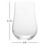 Grace 18 oz. Highball Glasses