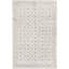 Neo Villa Southwestern Area Rug in Silver-106955005