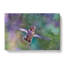 Hummingbird Vol.2 - Wrapped Canvas Painting-61854291
