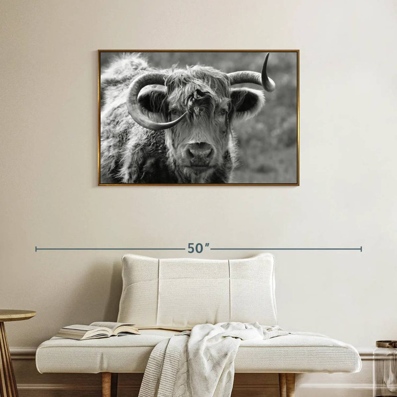 Monochrome Highland Cow, 37" X 25", Floating Frame Gold