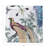 Audubon Exotica Cotton Sateen Cocktail Napkins-122066657