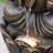 21.75"H 2-Tiered Zen-Style Bronze Hippo Polyresin Outdoor Fountain With Pump And LED Light (KD)