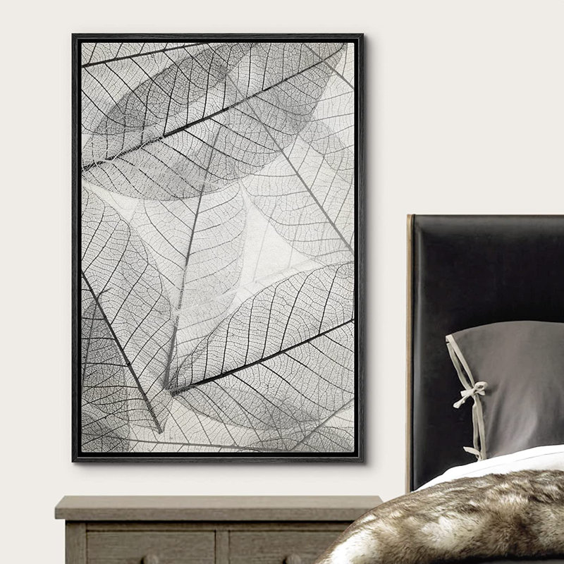 «Transparent Forest Leaves Nature Wilderness» - Cadre flottant, impression sur toile, Noir, H 24 po x l 16 po x P 1,5 po