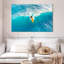 Surfer Sirci-111858795