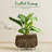 Ceramic Plant Pots 4.1+5.1+6.5 inch-1341610157