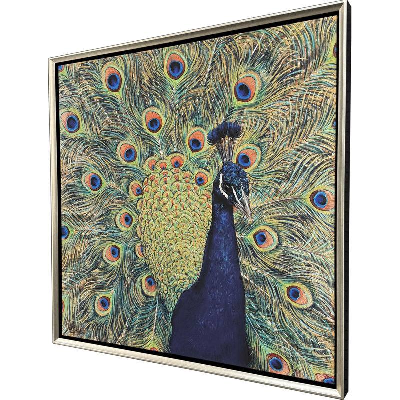 Peacock Plumage Canvas