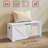 Storage Trunk With 2 Safety Hinges-1298886879