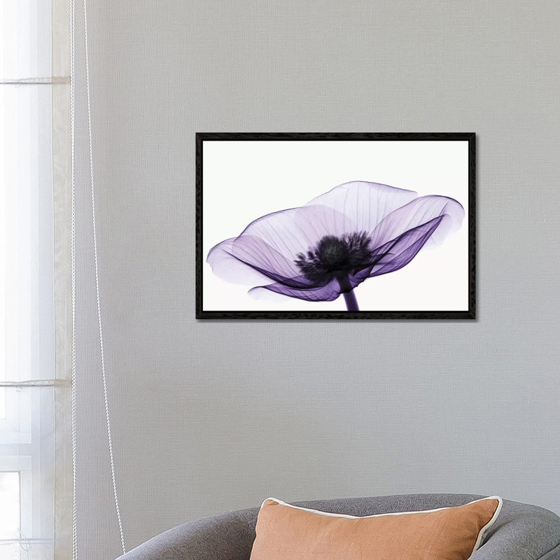 Anemone II - Print on Canvas, 66.04 cm H x 45.72 cm W x 3.175 cm D, Floater Framed